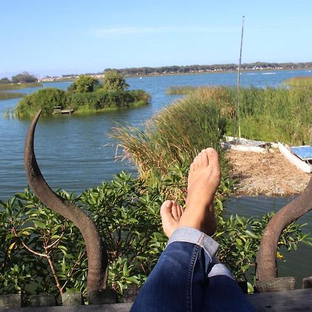 Nature'S Rest Cape Town Luaran gambar