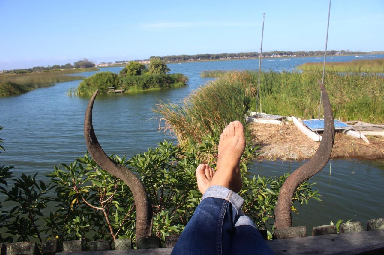Nature'S Rest Cape Town Luaran gambar