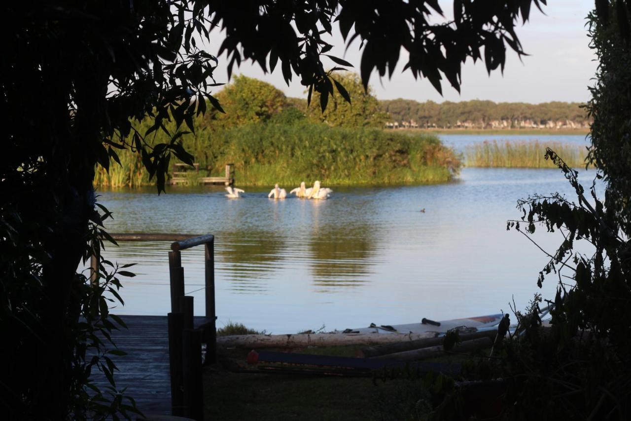 Nature'S Rest Cape Town Luaran gambar